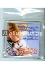 Магнитные подарочки. Настоящая дружба подобна... (М-548)