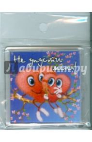 Магнитные подарочки. Не упусти меня! (ПМ064)