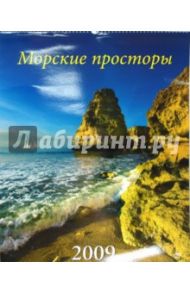 Календарь 2009 Морские просторы (13804)