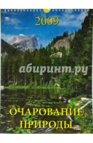 Календарь 2009 Очарование природы (18803)