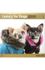Календарь Великолепные собаки 2009 (2825-0)