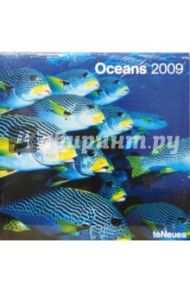 Календарь Океаны 2009 (2841-0)