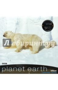 Календарь Планета Земля 2009 (2843-4)