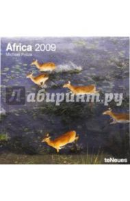 Календарь Африка 2009 (2858-8)