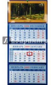 Календарь 2009 Корабельная роща (16817)