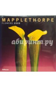 Календарь Мэпплторп 2009 (2828-1)