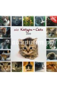 Календарь Кошки 2009 (30-020)
