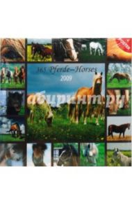Календарь Лошади 2009 (30-022)