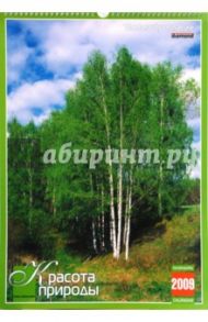 Календарь 2009 БР330х480 Красота природы (КРЗ-09007)
