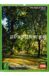 Календарь 2009 БР330х480 Очарование природы (КРЗ-09018)