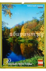 Календарь 2009 БР330х480 Родные просторы (КРЗ-09004)