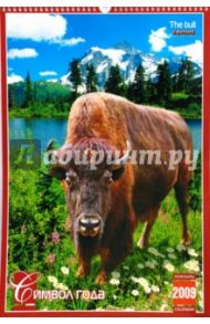 Календарь 2009 БР330х480 Символ года (КРЗ-09023)