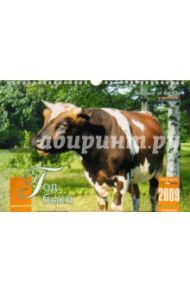 Календарь 2009 (КР4-09020) Год быка (мал.)