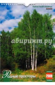 Календарь 2009 КР4-09007 Родные просторы (мал.)