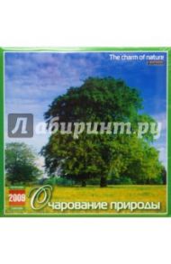 Календарь 2009 (09006) Очарование природы (скрепка)