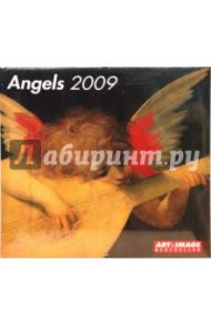 Календарь Ангелы 2009 (3511-1)