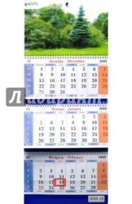 Календарь 2009 Ель (14)