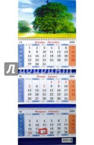 Календарь 2009 Дерево (16)