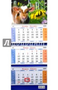 Календарь 2009 Бык. Дом (7)