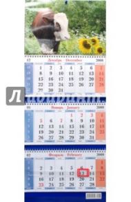 Календарь 2009 Бык. Подсолнух (6)
