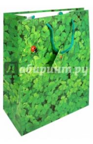 Пакет подарочный "Божья коровка"