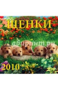 Календарь. 2010 год. Щенки (70906)