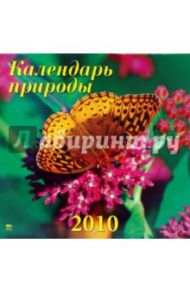 Календарь. 2010 год. Календарь природы (70908)