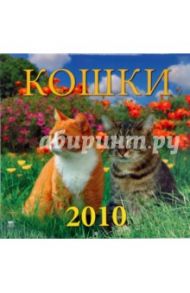 Календарь. 2010 год. Кошки (70921)