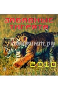Календарь. 2010 год. Забавные тигрята (30907)