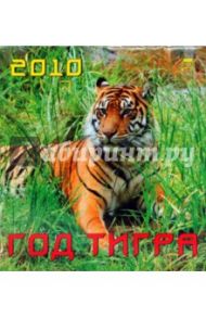 Календарь 2010 "Год тигра" (45906)