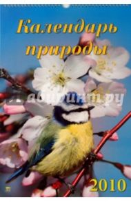 Календарь 2010 Календарь природы (12913)