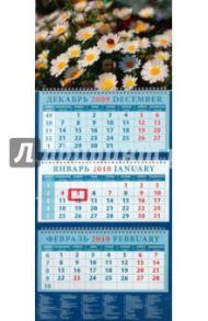 Календарь 2010 Ромашки (14948)