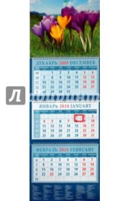 Календарь 2010 Весенний пейзаж с крокусами (14949)