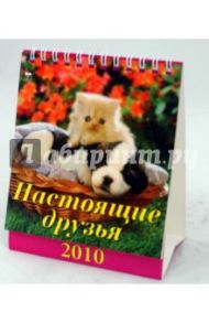 Календарь 2010 "Настоящие друзья" (10903)