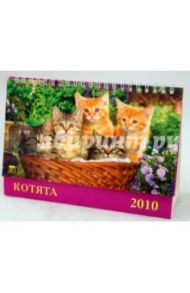Календарь 2010 "Котята" (19905)