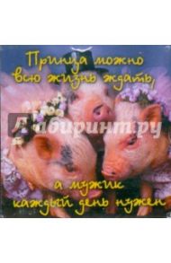 Магнитные подарочки. Принца можно всю жизнь ждать, а мужик каждый день нужен (М-327)