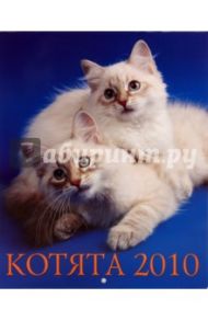 Календарь 2010 "Котята"