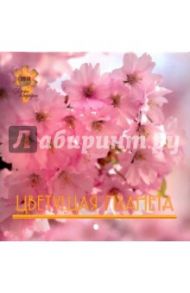 Календарь 2010 Цветущая планета (0602)
