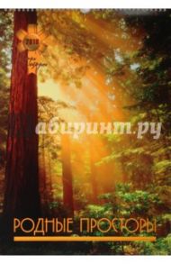 Календарь 2010 Родные просторы (0102)