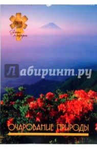 Календарь 2010 Очарование природы (0104)
