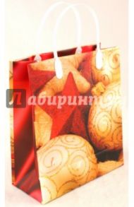 Пакет пластиковый BAS 32 (малый)