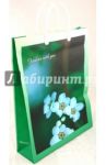 Пакет пластиковый, большой (BAL 18)