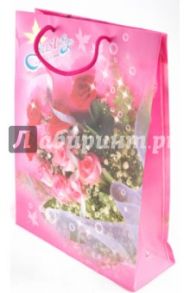 Пакет подарочный (099-3рра)