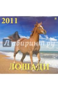 Календарь настенный 2011 год. "Лошади" (71003)