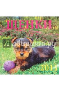 Календарь. 2011 год. Щенки (71006)
