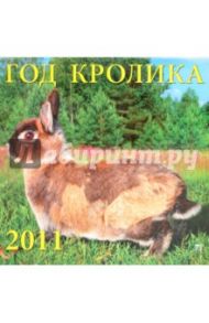 Календарь настенный 2011 год "Год кролика" (71014)