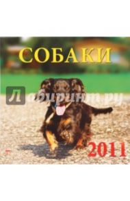 Календарь. 2011 год. Собаки (71020)