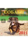 Календарь. 2011 год. Собаки (71020)