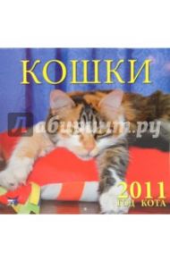 Календарь настенный 2011 год. "Кошки" (71021)