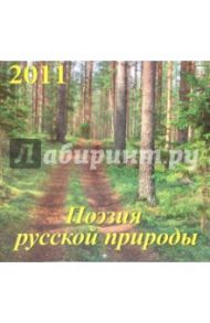 Календарь настенный 2011 год. "Поэзия русской природы" (71030)